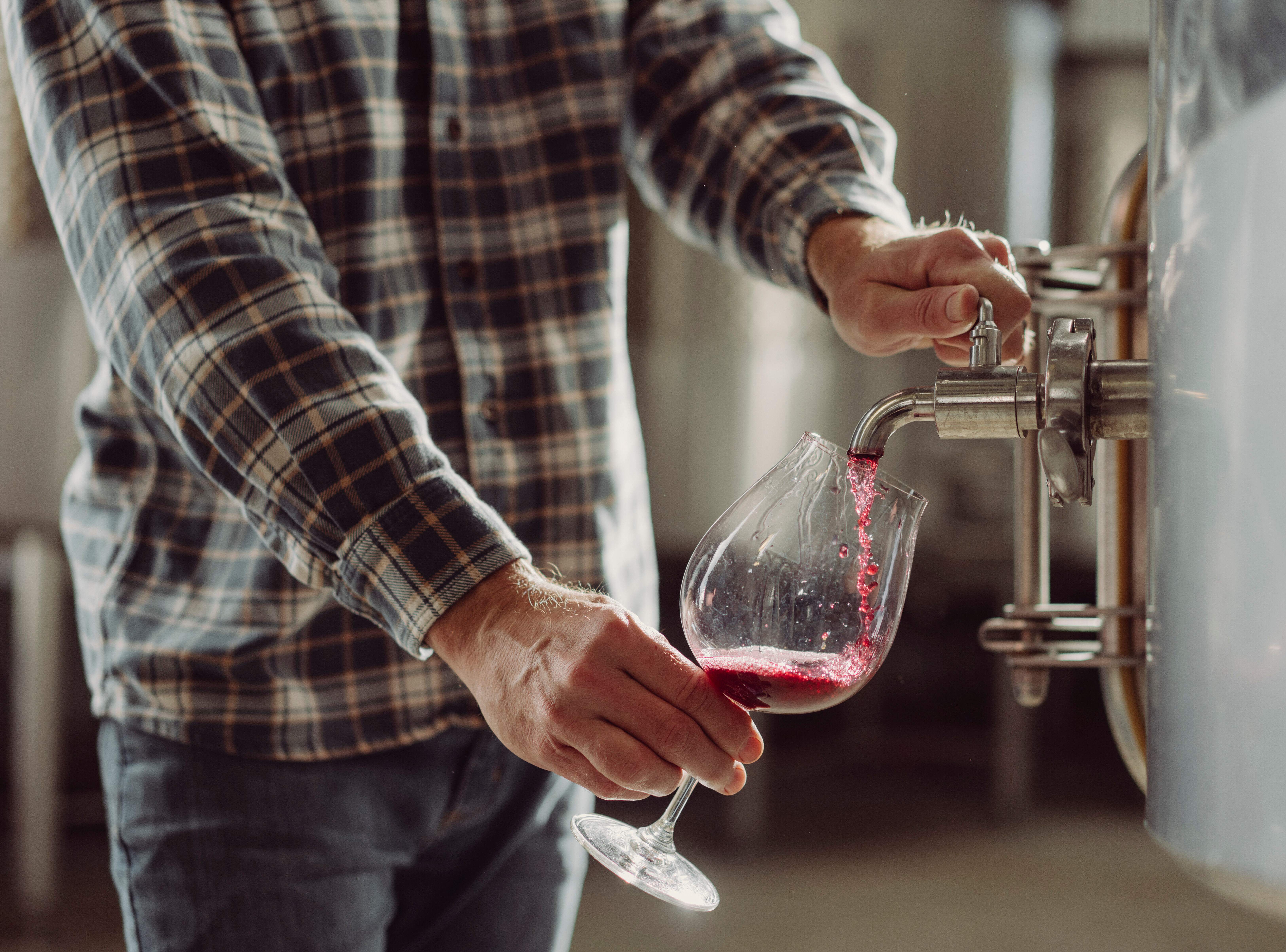 Copain's Winemaker, Ryan Zepaltas