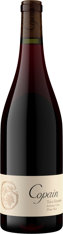 Sonoma Coast Pinot Noir