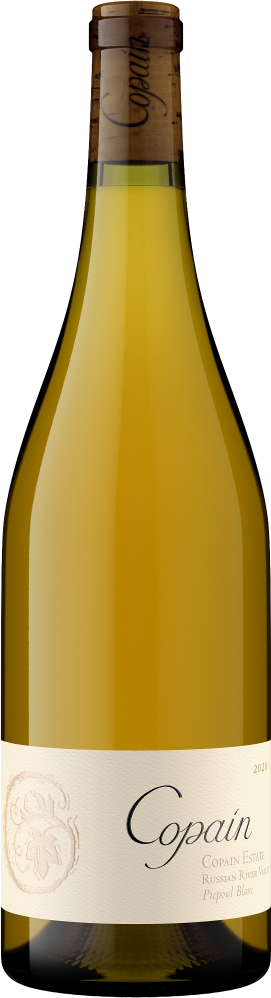 Estate Picpoul Blanc